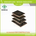 XHY 18mm Construction Plywood poplar core Pine and film faced can used as Buildi 4