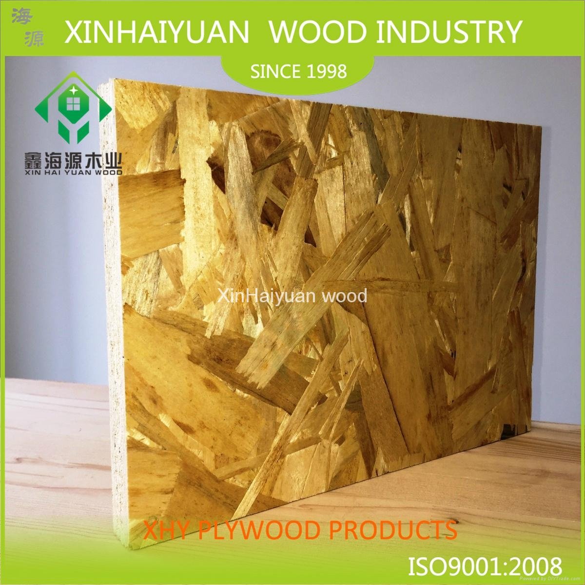 XHY 18mm Construction Plywood poplar core Pine and film faced can used as Buildi 5