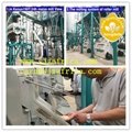 Corn maize grinding milling machine with