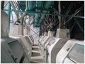 Wheat Flour Milling Machine 50 ton per