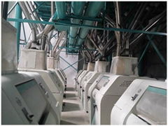 Wheat Flour Milling Machine 50 ton per day