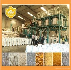 Zambia 10-100T Corn maize milling machines