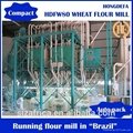 wheat mill wheat flour milling machine 50t/24h for Africa Market 4