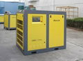 CE approved Dragon screw air compressor