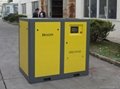 Dragon screw air compressor with frequency inverter 3