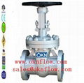 1 Carbon steel flange RF RTJ gate valve