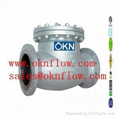 13  Carbon steel flange RF RTJ check valve