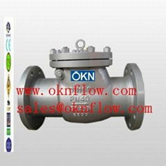 18  DIN 1.0619 flange check valve