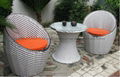 pe nest rattan chair 3