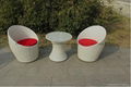 pe nest rattan chair 5