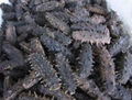 Dried sea cucumber from Japan 2