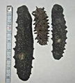 Dried sea cucumber from Japan 3