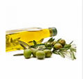 Extra Virgin Olive Oil supplier