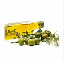 Extra Virgin Olive Oil supplier