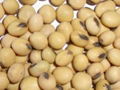 Soy, soya beans 2