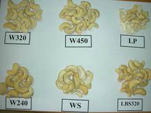 High quality raw and coated cashew nuts