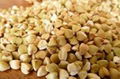 Buckwheat High Quality