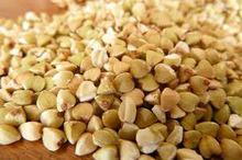 Buckwheat High Quality