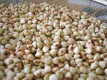 Buckwheat High Quality 2