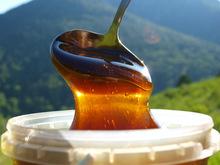 Premium Altai Live Buckwheat honey from