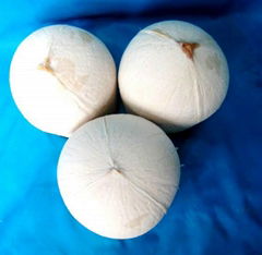 High Quality Vietnam Fresh Coconut