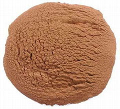 High Quality Vietnam Coconut Shell powder