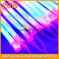 0.9m 20W LED grow T5 tube light 5