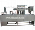 Water Cup Washing Filling Sealing Machine