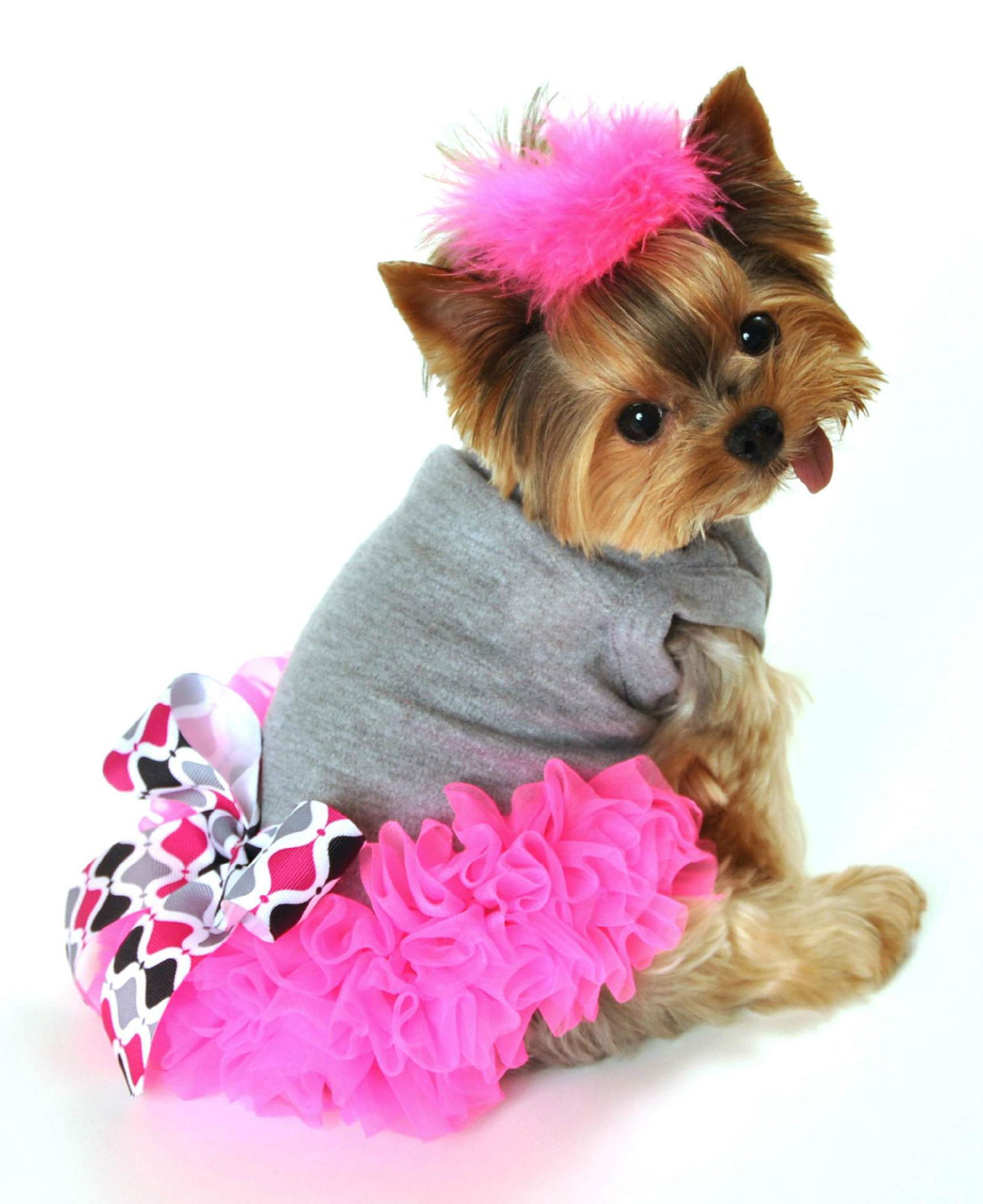 Pet clothing 5