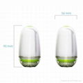 Handy Facial Cleansing Brush 1