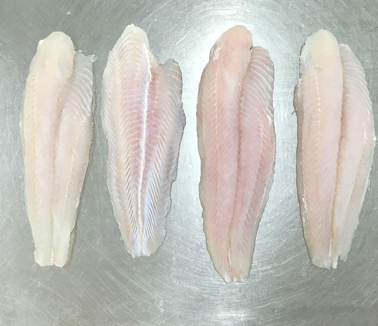 Pangasius Fillets