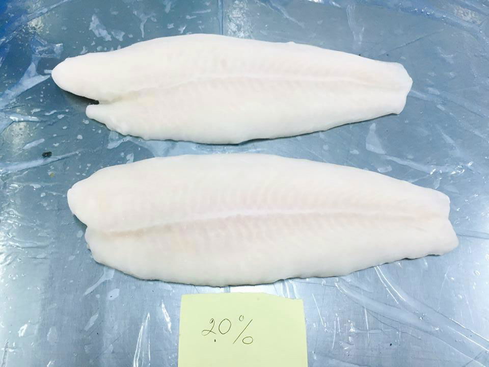 Pangasius Fillets 2