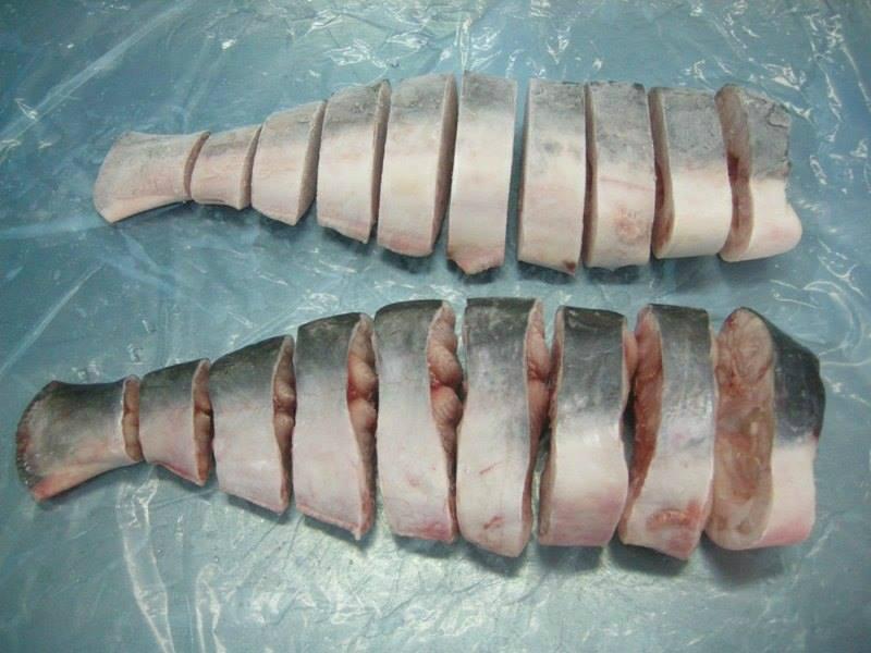 Pangasius Steaks 2