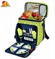 compact, over-the-shoulder cooler insulated cooler bag for frozen food outdoor p 2