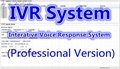 8- Channel/ 4-port /2-way IVR-P/Auto Dialer System/Call Center/Voice Navigation 
