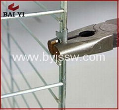 Baiyi Manufacturer High Quality Breeding Pigeon Cage With Best Design 