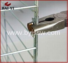 Baiyi Manufacturer High Quality Breeding Pigeon Cage With Best Design