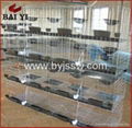 Baiyi Manufacturer High Quality Breeding Pigeon Cage With Best Design  4