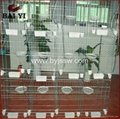 Baiyi Manufacturer High Quality Breeding Pigeon Cage With Best Design  5
