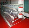 Wholesale Good Quality Chicken Layer Cages Hot Sale Online                       4