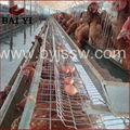 Wholesale Good Quality Chicken Layer Cages Hot Sale Online                       5