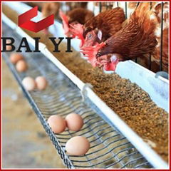 Baiyi Supplier Good Quality Chicken Layer Cage Best Sale Online