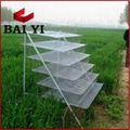 Good Quality Best Selling Quail Cages