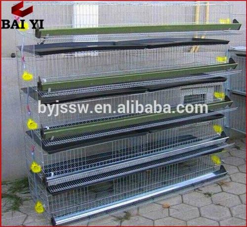 Good Quality Best Selling Quail Cages With Low Price And High reputation 4
