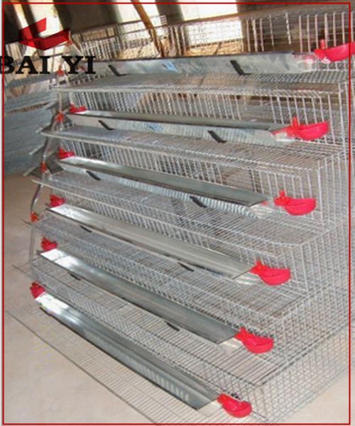 Good Quality Best Selling Quail Cages With Low Price And High reputation 5