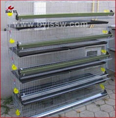 Hot Galvanized Good Quality Best Design Quail Cages Popular Sale Online