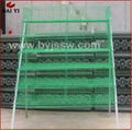 Hot Galvanized Good Quality Best Design Quail Cages Popular Sale Online 2