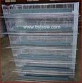 Hot Galvanized Good Quality Best Design Quail Cages Popular Sale Online 3