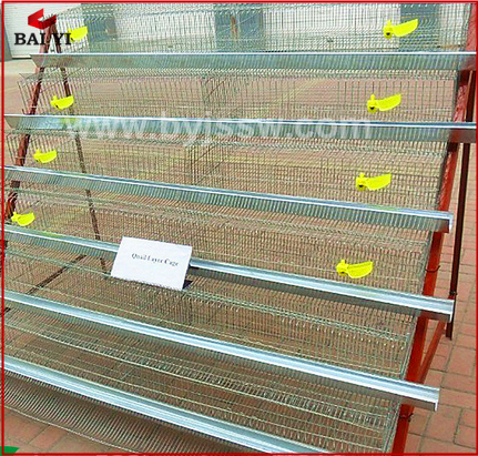 Hot Galvanized Good Quality Best Design Quail Cages Popular Sale