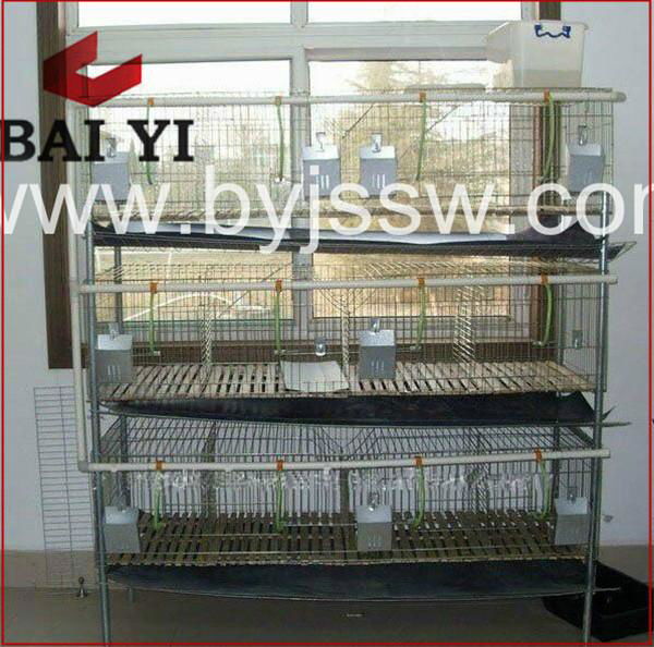 PVC Coated High Quality Fashion Design Rabbit Cages Best Sale Online 3